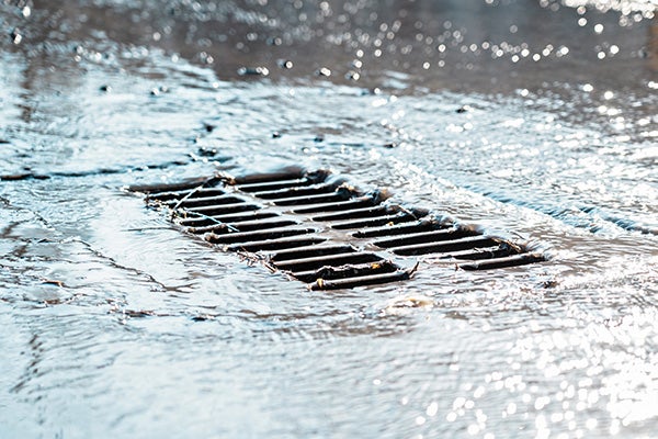 The grate of the storm sewer after the rain. The water drains into the storm drain. Sun glare, defocused background
